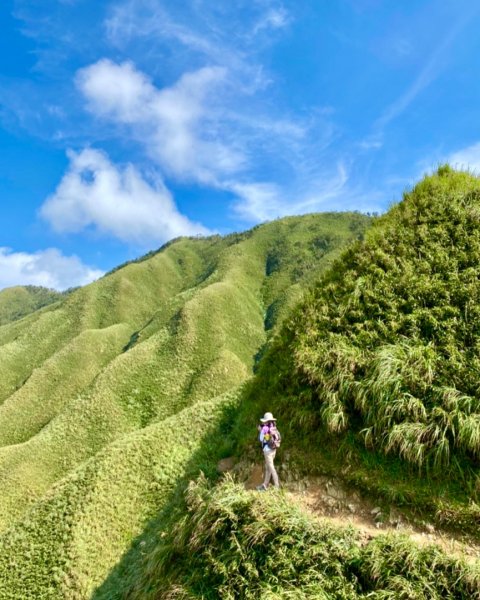 二刷抹茶山1104717