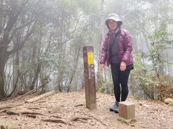 雪見大板根-202502222859807