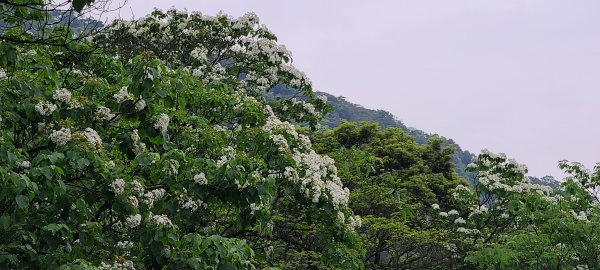 日月洞往永寧1067170