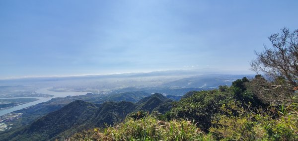 2023-02-12觀音山楓櫃斗湖步道2029138