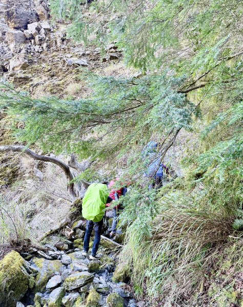 230林道糜爛去    2025.2.28-3.12733791