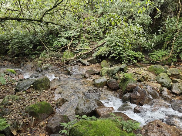 [淡蘭古道] 2026_0502 北路第二段_楊廷理古道3047715