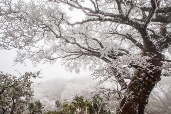 冰凍北插天山1232377