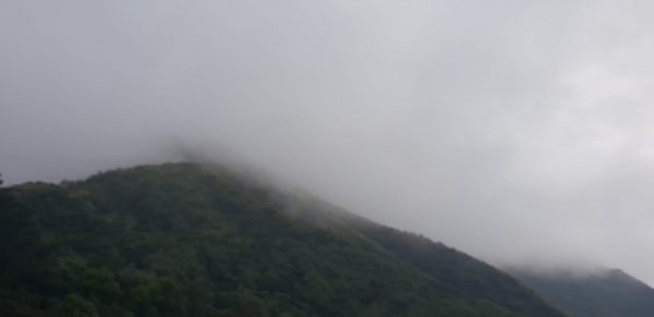 2019-0111基隆山1218243