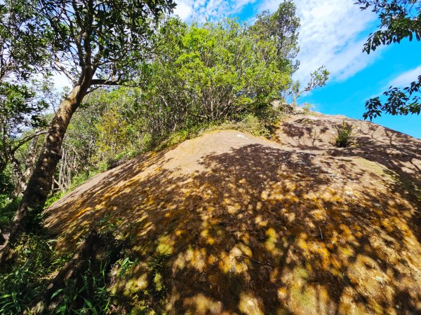 (二格山系)筆架連峰-2025微笑山線大縱走尋寶集章任務2866368