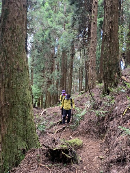 20250517義義兒玉山-東水山2791638