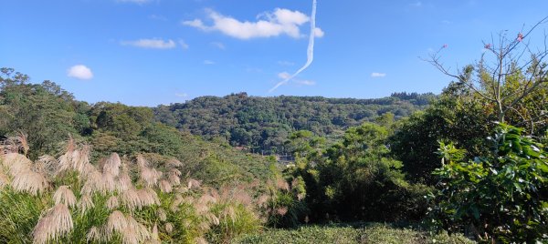 秀才登山步道2936913