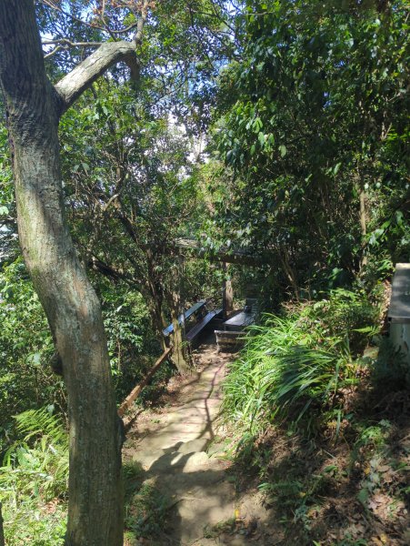 2025.09.21－微笑山線：【鳶山山系】鳶山彩壁段2898713