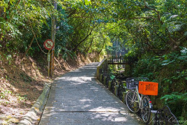 [台北]虎山親山步道、九五峰、南港山2911299
