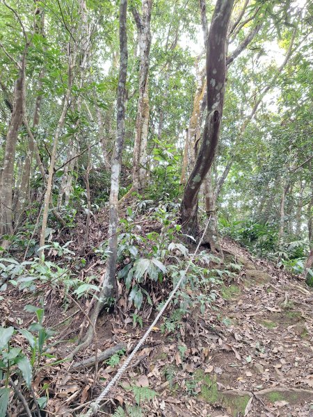 仙山古道群峰O型2693655