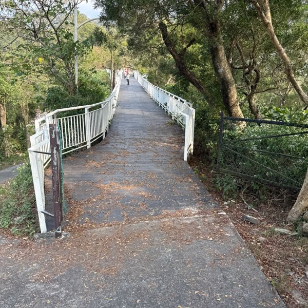 20251213 高雄－臺灣百大必訪步道龍頭山步道2969119