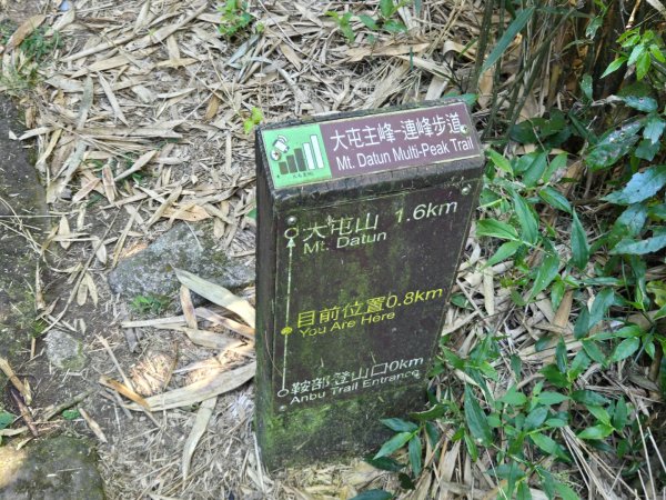 大屯主峰-連峰步道環形（小百岳）2904325