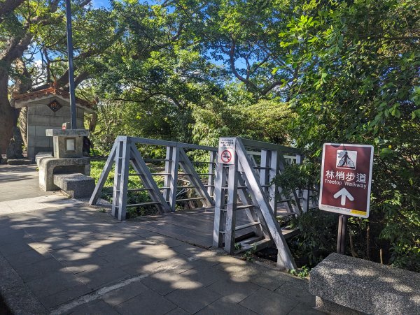 【觀音觀鷹尋寶任務】福隆山、林梢、楓櫃斗湖、牛寮埔、硬漢嶺等步道2291100