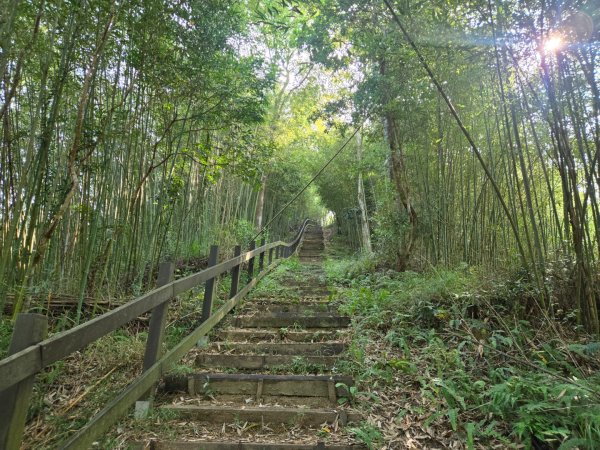 鐘樓古道、獅潭觀魚步道3127290