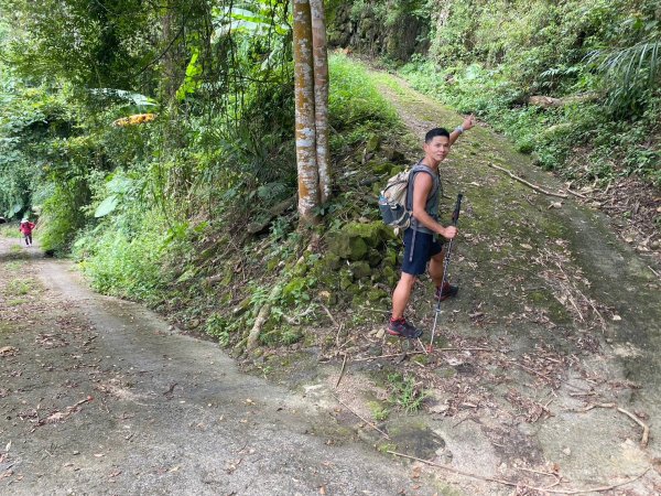 三寶山(烏心石山.鳩州嶺.尖凍山)步道【變成夢魘的大秘寶】2639851