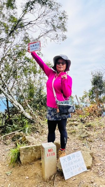 走大橫屏山九份二山(小百岳#45、47)賞梅去2695075