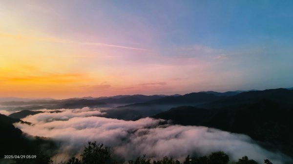 翡翠水庫壩頂 #火燒雲雲海 #日出雲海 #鱷魚島 #藍腹鷴 4/292772678