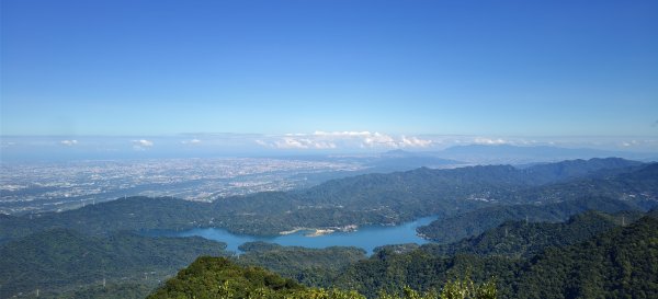 2025/10/10-水田林道上外鳥嘴山2911502