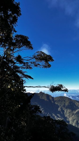 復興防列區山2636517