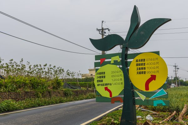 [南投]松柏坑山2683270