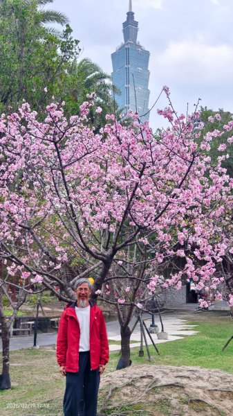 #虎山  #101大樓  #國父紀念館 #河津櫻 #中正紀念堂 2/193002690