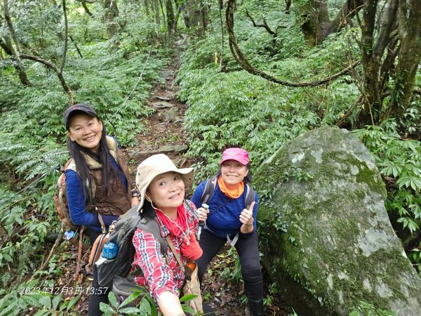 20231203淨灘後來爬竿尾崙山(H886m)2367906