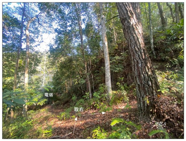 巴幸山、打鐵坑山、稍來坑山、和平14基石連走3018107