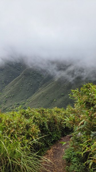 小觀音山西西峰 - 西峰 - 北峰935477