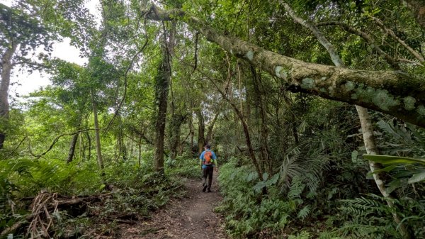 114.06.14雙石縱走&石門水庫-石牛山之旅2812235