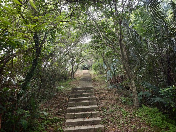 [淡蘭古道] 2026_0531 北路第一段_琉榔路步道3070568