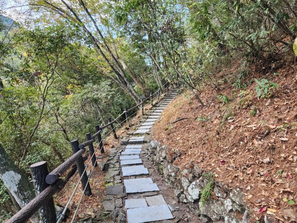 谷關七雄⛰波津加山2407171