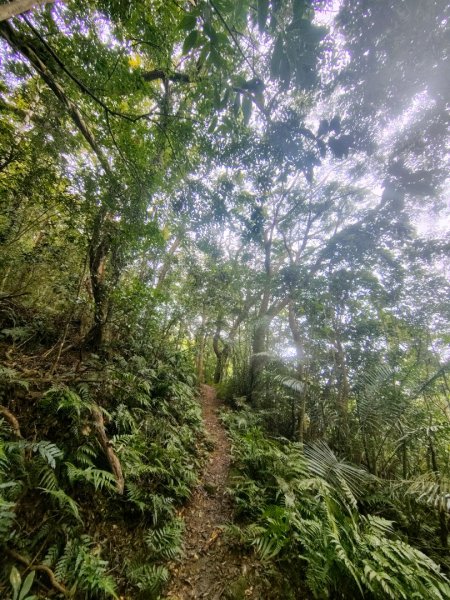 鳳鳴古道 鳳鳴山 南隘勇（南長城）古道 三湖山 八達嶺（龍骨）古道 綠色古道 延平古道2975314