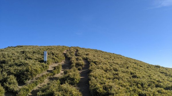 合歡西峰步道(合歡北西原路來回)1941457