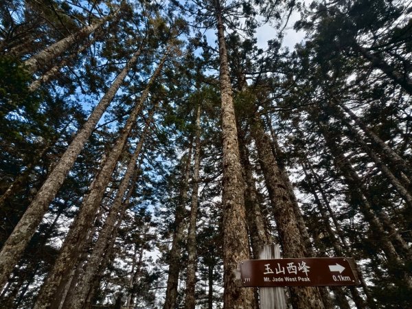東埔-排雲-玉山西峰-玉山主峰2753147