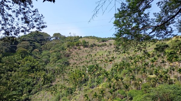 台中和平區大茅埔山3129200