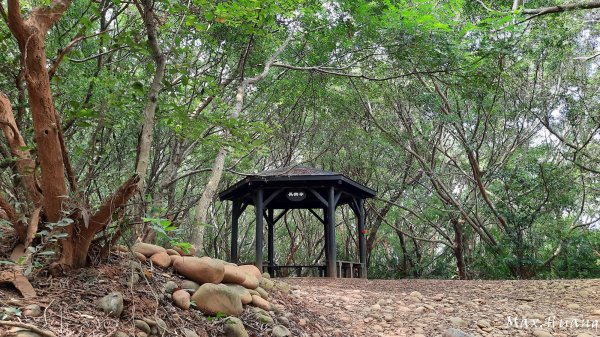 《台中》秋節秋虎｜大肚環保公園登山步道202310012301205