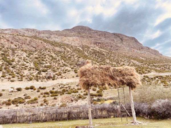 川藏33天深度之旅💙#稻城亞丁-來古冰川2902037