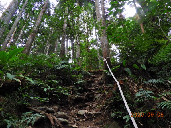 新竹 五峰 油羅山1088967