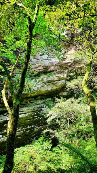 基隆暖東峽谷，金山獅頭山公園，燭臺雙嶼，金包里山，神秘海岸，巨岩海蝕洞（一線天）1729105