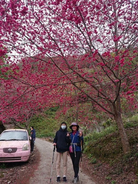 八通關古道雲龍瀑布1605057