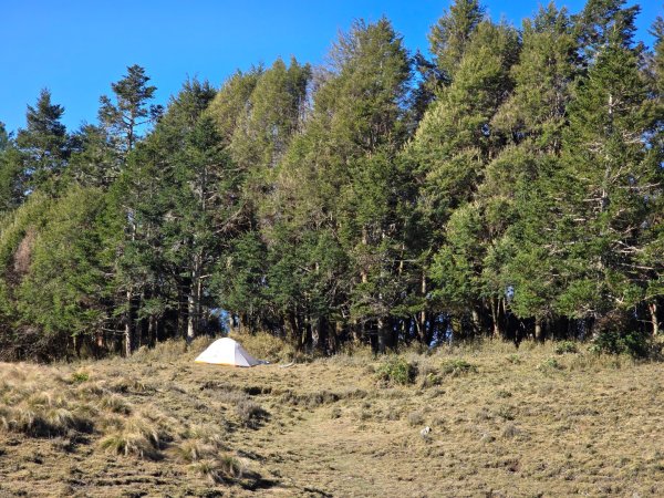 卓社大山〔武界栗栖溪登山口起登〕2748490