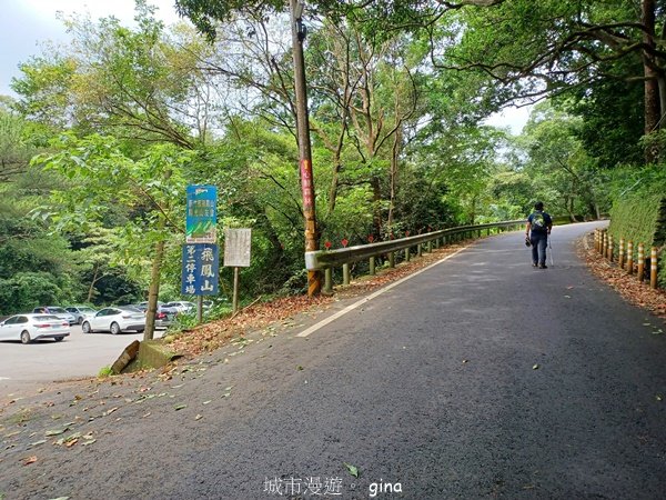 【新竹芎林】台灣百大必訪步道。 飛鳳山、觀日坪古道O繞2564327