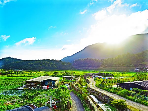 【心靈療癒】陽明山頂湖環狀步道182901