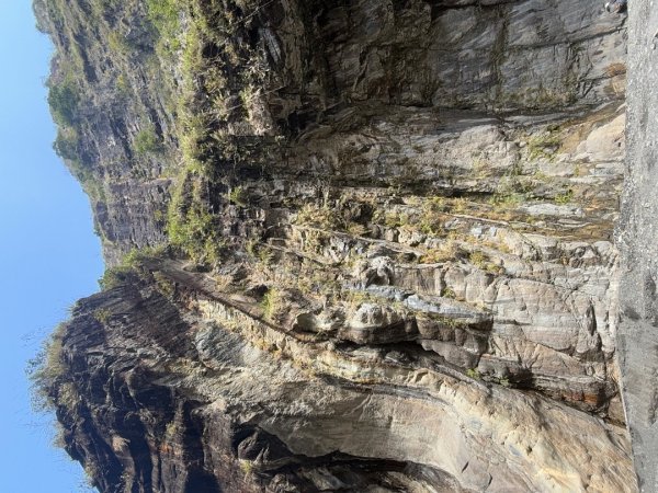 20250130 北港溪峽谷步道2702942