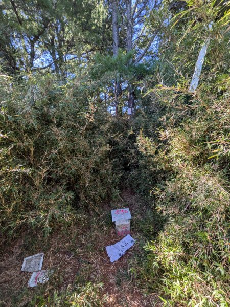 結界縱走三日(結城山、境界山、檜山)2920893