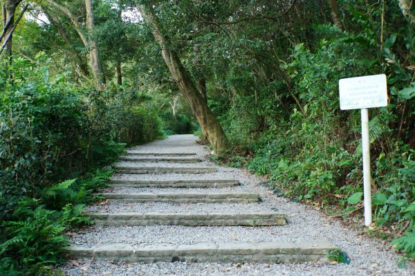 桃園 龍潭 太平山、清水坑山、石門山、小粗坑山、大竹坑山2977096