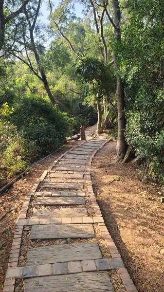 2026-0118新竹新埔文山步道2984648