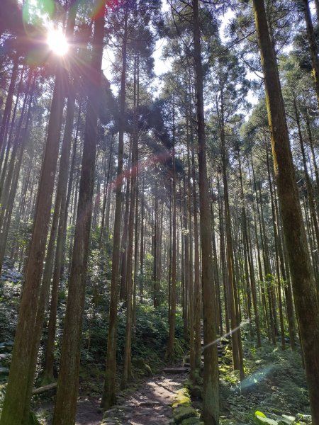 馬武督-外鳥嘴山846097