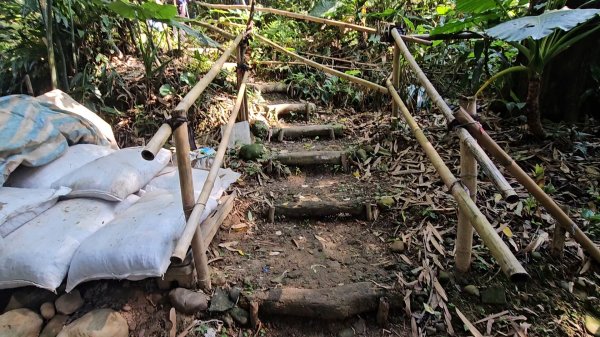 鳳山縱走五連峰3026910