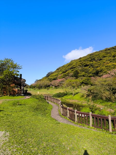 台北大縱走第一段3015755